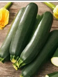 cukinia-dynia-black-beauty-ciemna-nasiona-warzyw