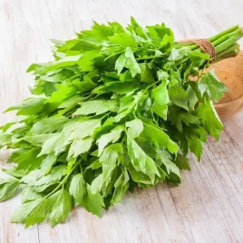 lubczyk-ogrodowy-aromatyczna-przyprawa-nasiona-ziol-warzyw