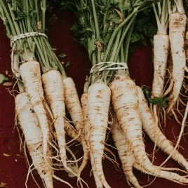 pasternak-poldlugi-bialy-slodki-w-smaku-nasiona-warzyw