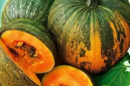 dynia-olbrzymia-bezlupinowa-olga-nasiona-warzyw