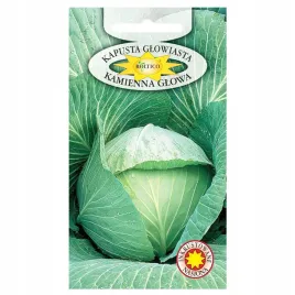 kapusta-glowiasta-kamienna-glowa-pozna-nasiona-warzyw