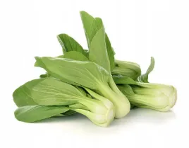 kapusta-chinska-pak-choi-nasiona-kapusty-nasiona-warzyw