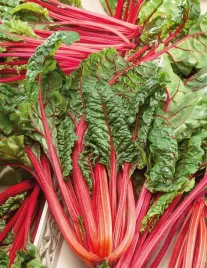 burak-lisciowy-czerwony-rhubarb-chard-nasiona-warzyw