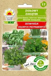 ziolowy-zakatek-na-krazku-bazylia-mieta-szczypiorek-pietruszka-toraf