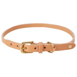 obroza-dla-psa-oyoy-robin-skorzana-brazowa-58-cm