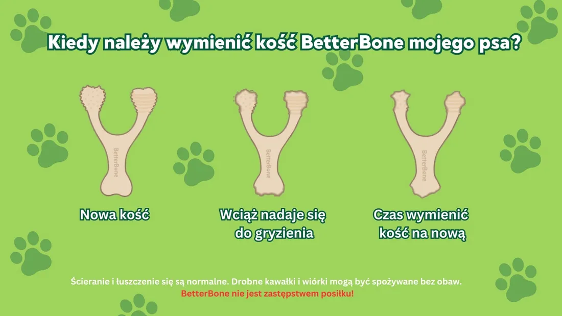 betterbone-classic-large-medium-stan-nowy