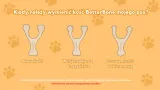 betterbone-classic-small-hard-rodzaj-gryzaki