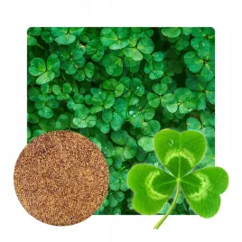 mikrokoniczyna-nasiona-koniczyna-drobnolistna-biala-gesta-samonawozaca-500g