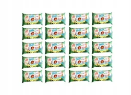 dada-chusteczki-nawilzane-dada-everyday-21-x-72-szt-1512-szt