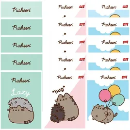 zeszyt-w-kratke-a5-32-kartki-laminowany-majewski-pusheen-kotek-15-sztuk