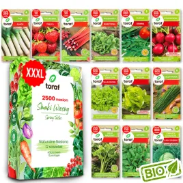 nasiona-warzyw-zestaw-kapusta-rukola-salata-seler-zestaw-2500-nasion-xxxl