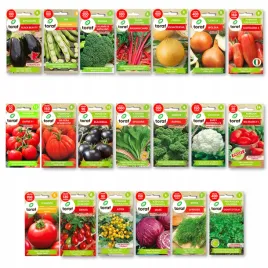 nasiona-warzyw-burak-brokul-kalafior-pomidor-toraf-zestaw-5300-nasion-xxxl