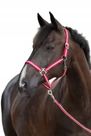 kantar-dla-konia-i-kuca-covalliero-hippo-bordowy-bezowy-pony