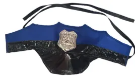 policjant-lux-eko-opaska-cc123