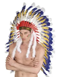 pioropusz-indianski-wodza-44131