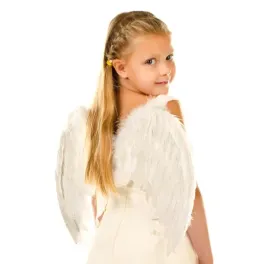 skrzydla-aniola-male-biale-tc52545-z-pior-43x34cm