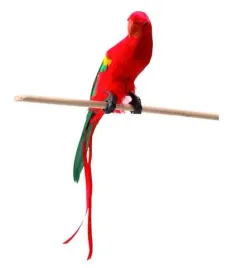 papuga-z-pior-30cm-52354