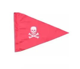 flaga-piracka-czerwona-flag02