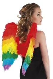 skrzydla-z-pior-tecza-lgbt-50x50cm-52833-kolorowe-teczowe-papugi