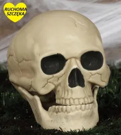 czaszka-lux-ruchoma-szczeka-20cm-26174bz-dekoracja-halloween