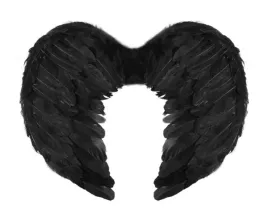skrzydla-aniola-czarne-z-pior-134368-45x35cm