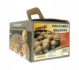 grzyby-w-domu-ogrodzie-pieczarka-brazowa-5kg