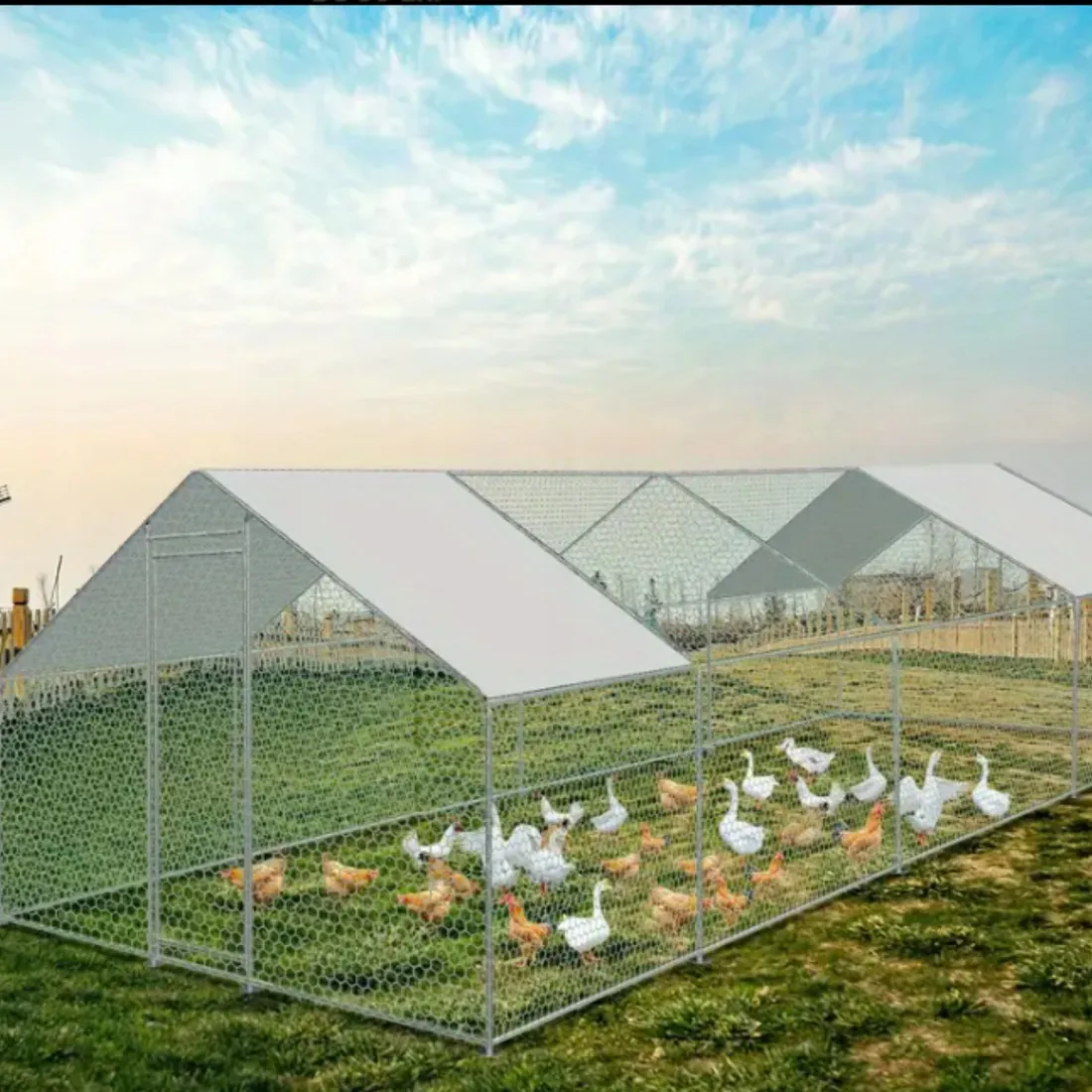 woliera-3x8x2m-wybieg-dla-kur-krolikow-ptakow-kurnik-klatka-zagroda-kojec-stan-nowy