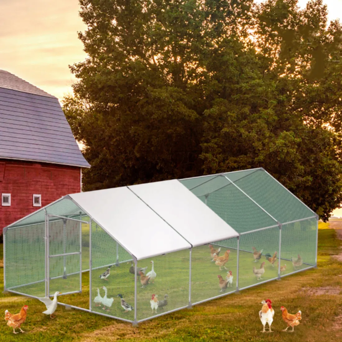woliera-3x8x2m-wybieg-dla-kur-krolikow-ptakow-kurnik-klatka-zagroda-kojec