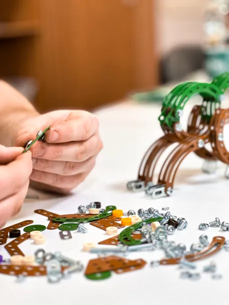 maly-konstruktor-triceratops-alex-wiek-dziecka-8-lat