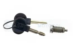 wkladka-zamka-256579-val