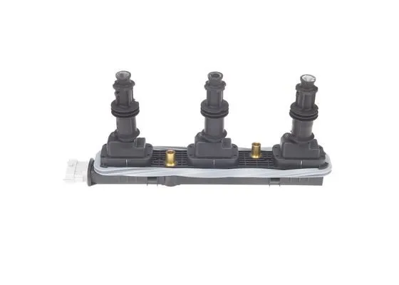 cewka-zaplonowa-0221503473-bos