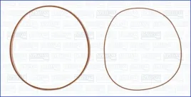 zestaw-uszczelek-tulei-cylindra-60001900-ajusa