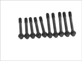 zestaw-srub-glowicy-cylindrow-81014400-ajusa