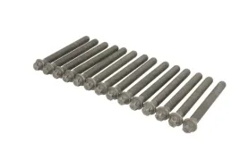 zestaw-srub-glowicy-cylindrow-81020400-ajusa