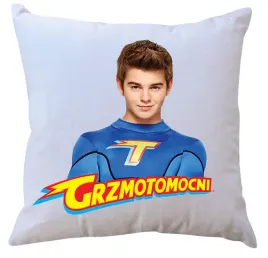 poduszka-z-wkladem-grzmotomocni-producent