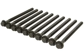 zestaw-srub-glowicy-cylindrow-81042500-ajusa