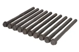 zestaw-srub-glowicy-cylindrow-81043200-ajusa