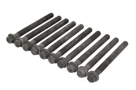 zestaw-srub-glowicy-cylindrow-81044300-ajusa