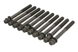 zestaw-srub-glowicy-cylindrow-81045300-ajusa