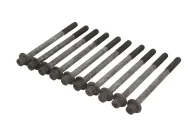 zestaw-srub-glowicy-cylindrow-81045100-ajusa