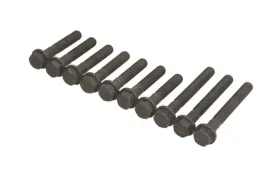 zestaw-srub-glowicy-cylindrow-81047900-ajusa