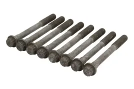 zestaw-srub-glowicy-cylindrow-81046900-ajusa