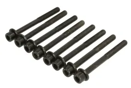 zestaw-srub-glowicy-cylindrow-81047800-ajusa