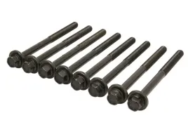 zestaw-srub-glowicy-cylindrow-81050600-ajusa