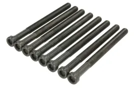 zestaw-srub-glowicy-cylindrow-81051100-ajusa