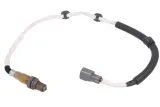sonda-lambda-0258006799-bos-stan-nowy