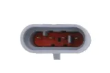 sonda-lambda-0258010046-bos