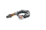 sonda-lambda-0258010396-bos-stan-nowy
