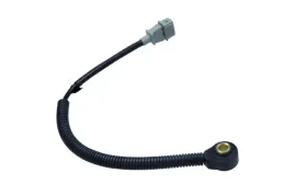 czujnik-spalania-stukowego-0261231230-bos