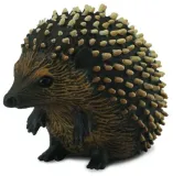 jez-s-collecta